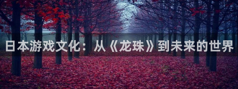 杜邦娱乐网址注册：日本游戏文化：从《龙珠》到未来的世界