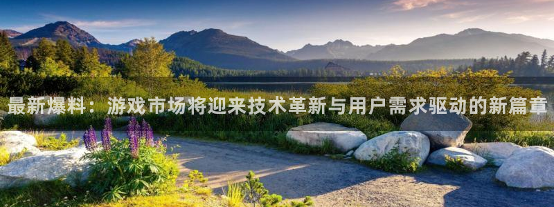 杜邦娱乐娱乐：最新爆料：游戏市场将迎来技术革新与用户需求驱动