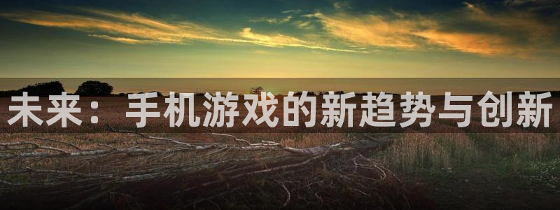 杜邦娱乐网址官网：未来：手机游戏的新趋势与创新